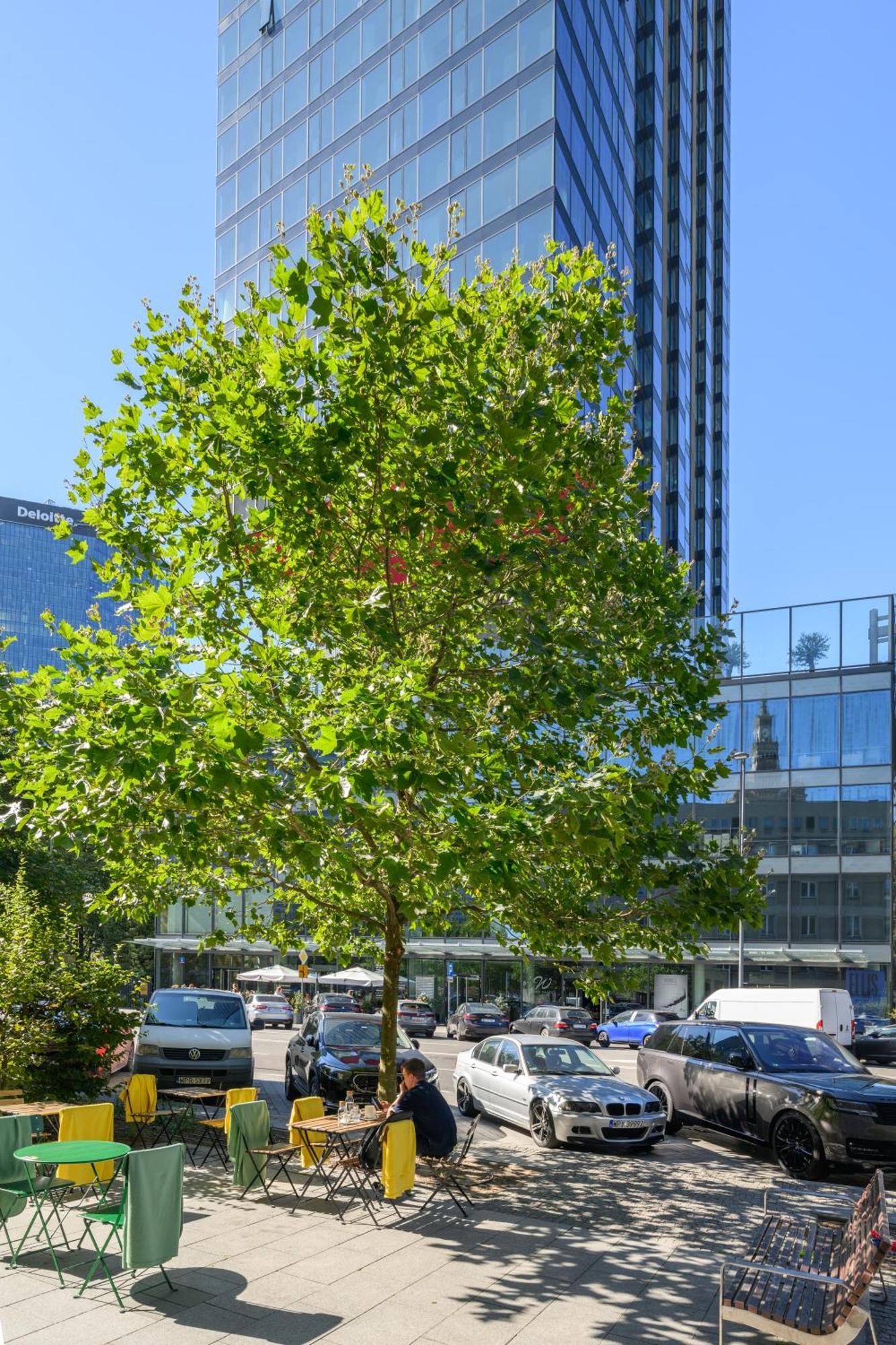 Apartament Centrum Twarda Warszawa Zewnętrze zdjęcie